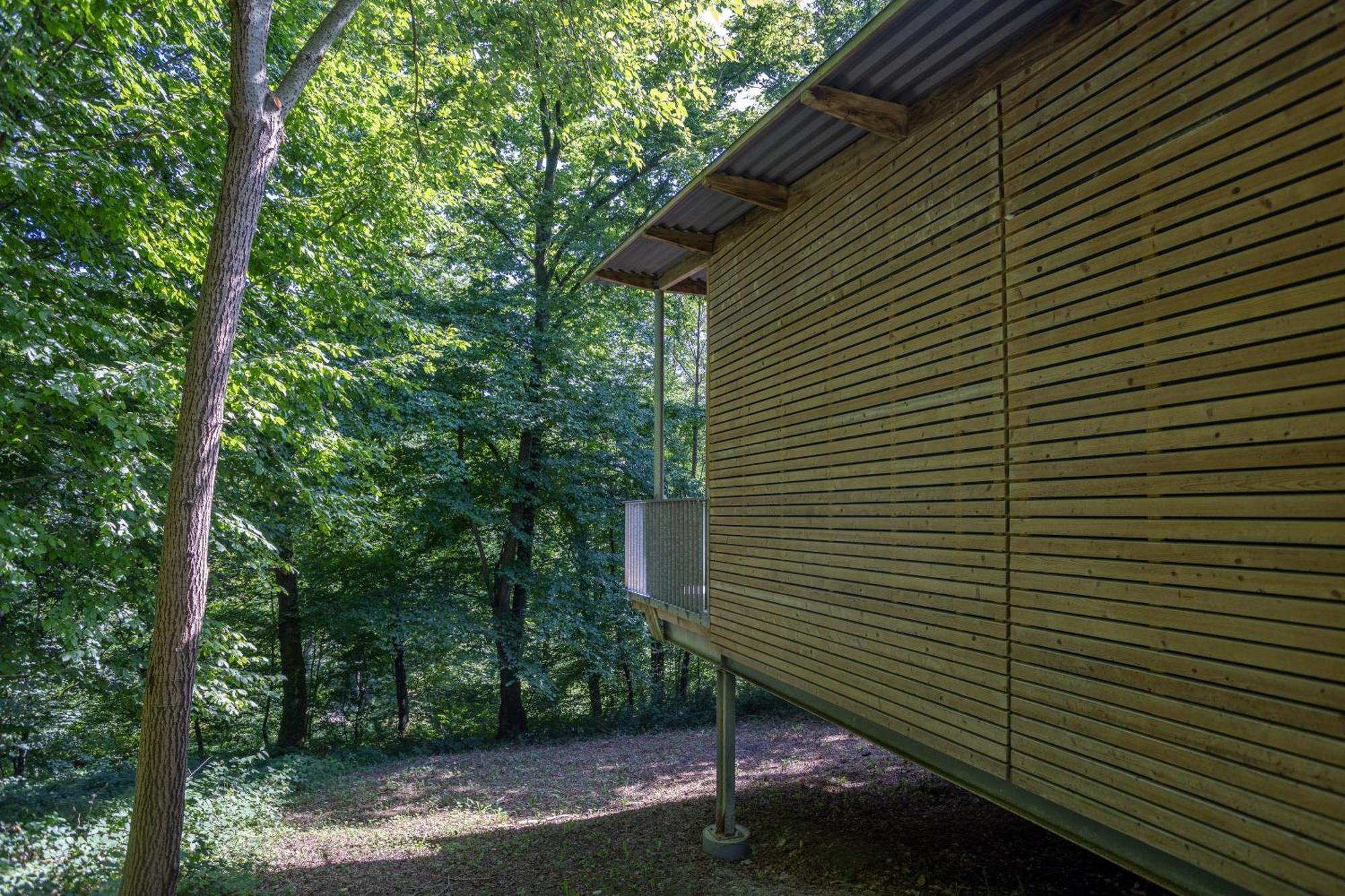 Les Charmes C38 - Le Val Joly Vila Eppe-Sauvage Exterior foto